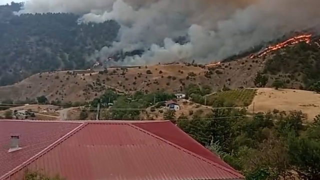 Kahramanmaraş'ta orman yangını