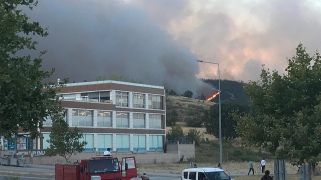 Bursa'nın Gürsu ilçesinde çıkan orman yangınına müdahale ediliyor