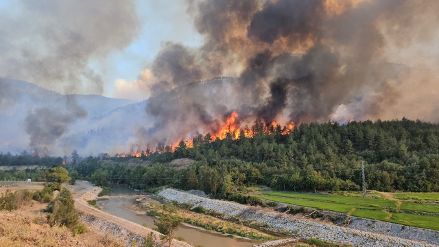 Karabük'teki orman yangınlarında 4'üncü gün (3)