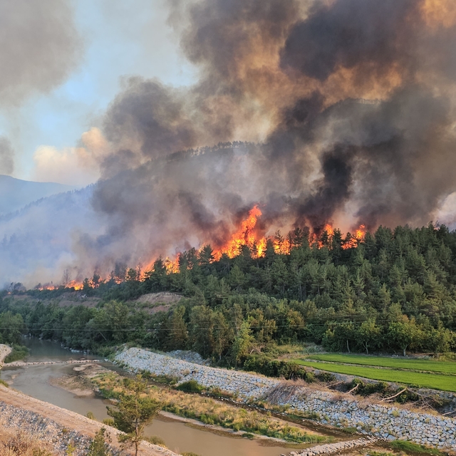 Karabük'teki orman yangınlarında 4'üncü gün (3)