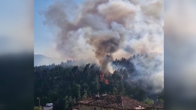 Bursa'da orman yangını (4)