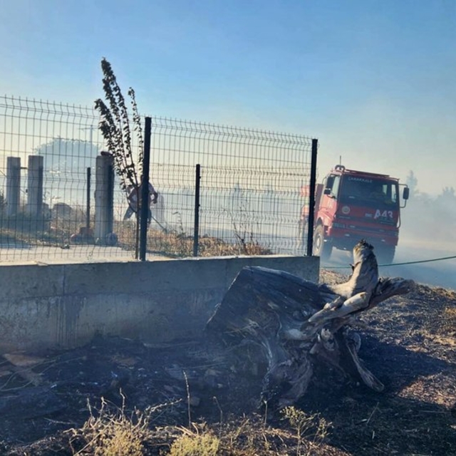 Çanakkale'nin Gelibolu ilçesinde çıkan yangın söndürüldü