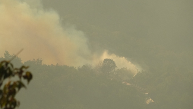 Kocaeli'de orman yangını (2)