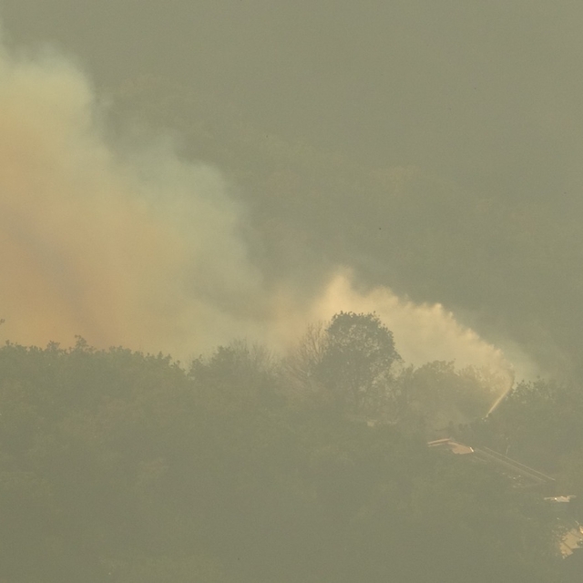 Kocaeli'de orman yangını (2)