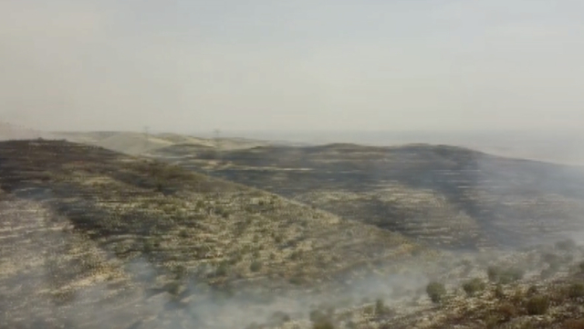 Batman'da örtü yangını; bin dönüm alan zarar gördü