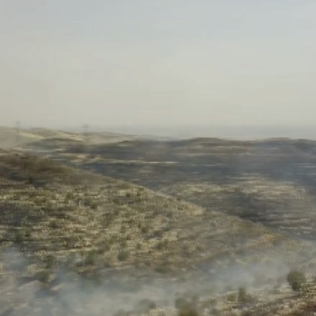 Batman'da örtü yangını; bin dönüm alan zarar gördü