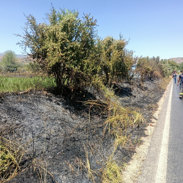 Nazilli'deki ot yangını prefabrik depoya da sıçradı; 1 yaralı