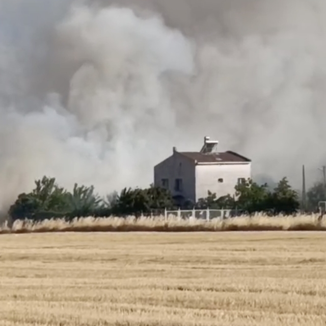 Tekirdağ'da otluk alanda başlayıp anıza sıçrayan yangın söndürüldü