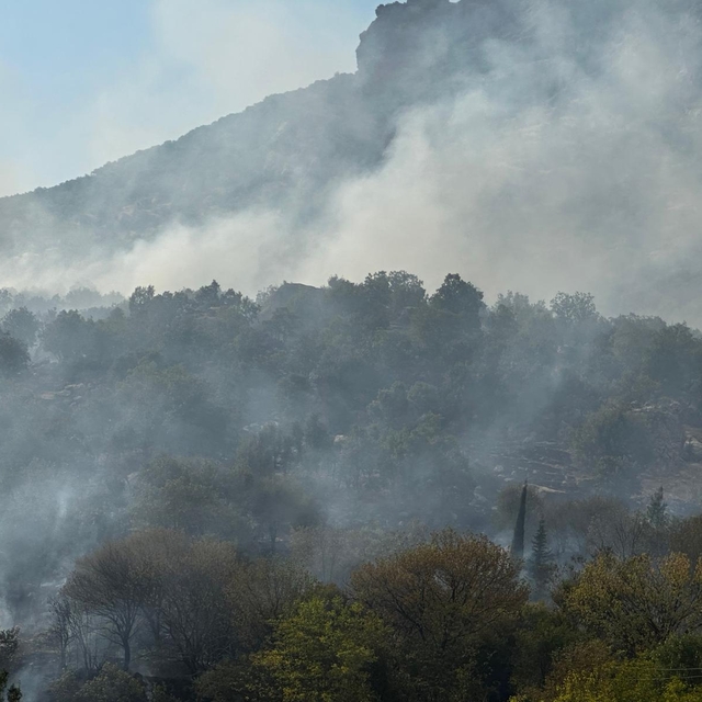 Diyarbakır'da örtü yangını