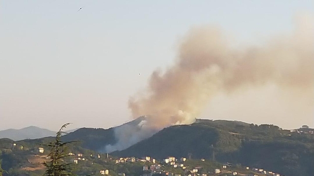 Zonguldak'taki orman yangını söndürüldü