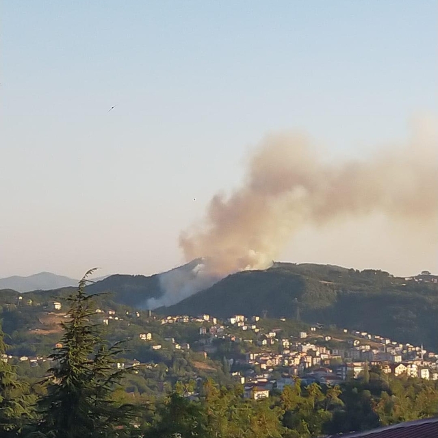 Zonguldak'taki orman yangını söndürüldü