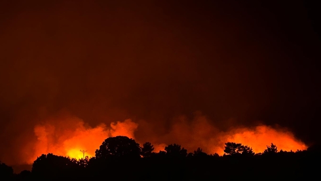 GÜNCELLEME - Uşak'ta orman yangınına müdahale ediliyor
