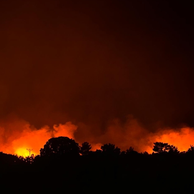 GÜNCELLEME - Uşak'ta orman yangınına müdahale ediliyor