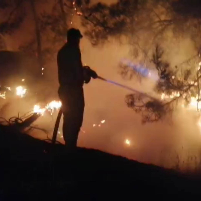 Kahramanmaraş'ta orman yangını (2)