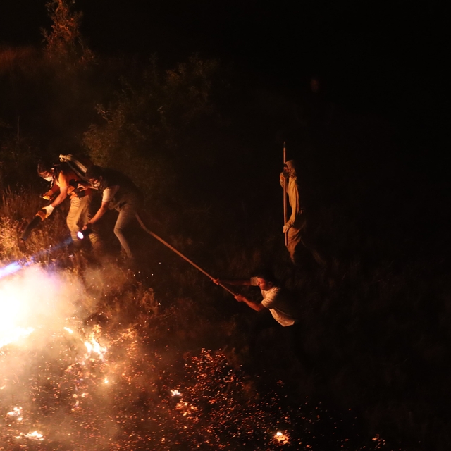 Bingöl'de ormanlık alanda çıkan yangın söndürüldü
