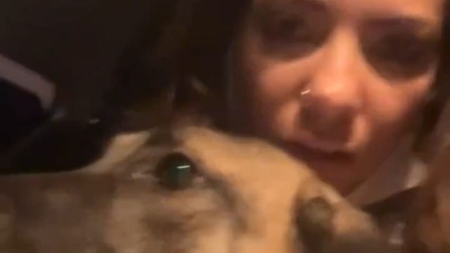 Bursa'da orman yangını (9)