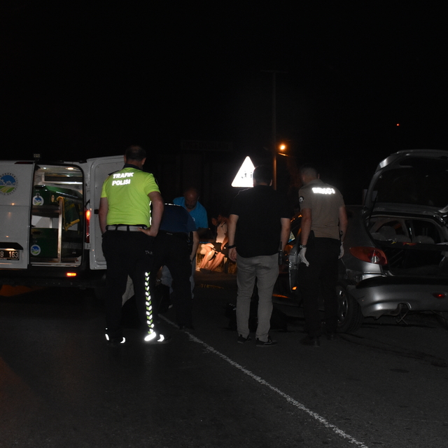 Sakarya'da bariyerlere çarpan otomobilin sürücüsü yaşamını yitirdi