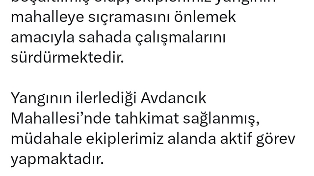 Bursa'da orman yangını (10)