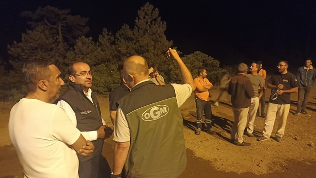 Bursa'da orman yangını (12)