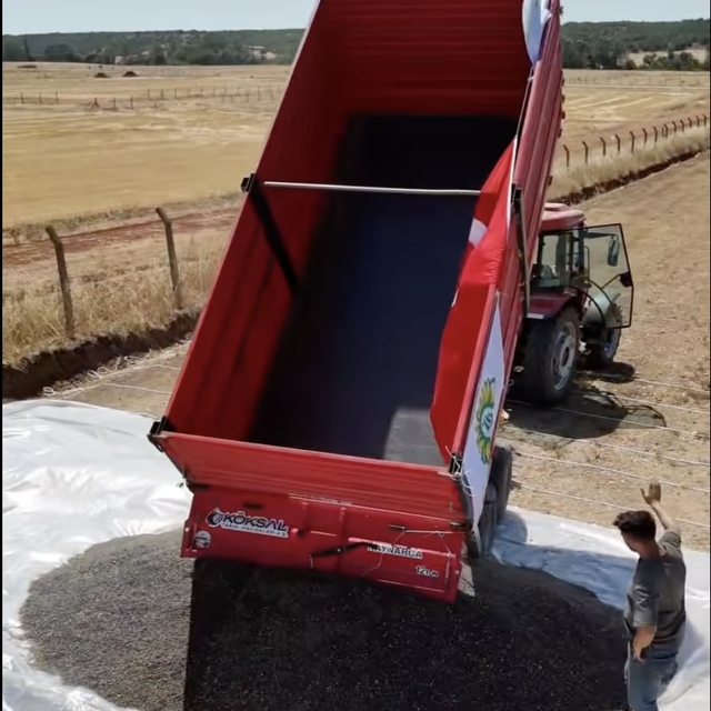 Pınarhisar'da ayçiçeği hasat töreni düzenlendi