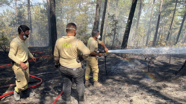 Karabük'teki orman yangınları 5'inci günde