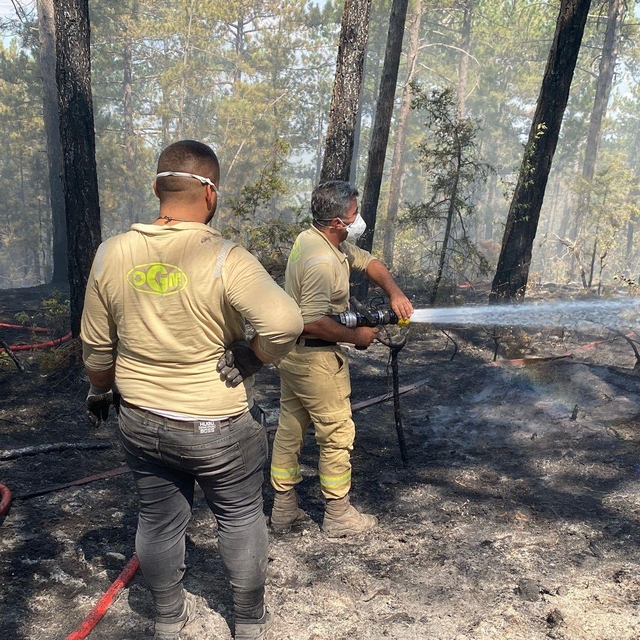 Karabük'teki orman yangınları 5'inci günde