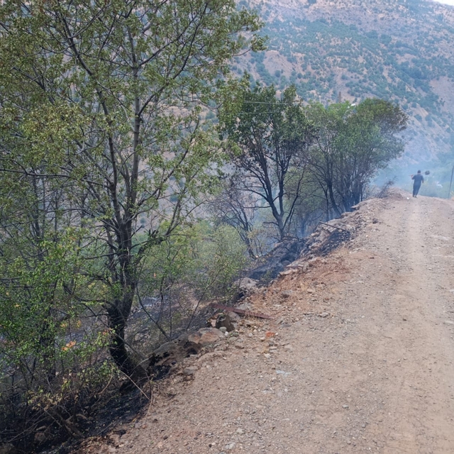 Elazığ'daki örtü yangını kontrol altına alındı