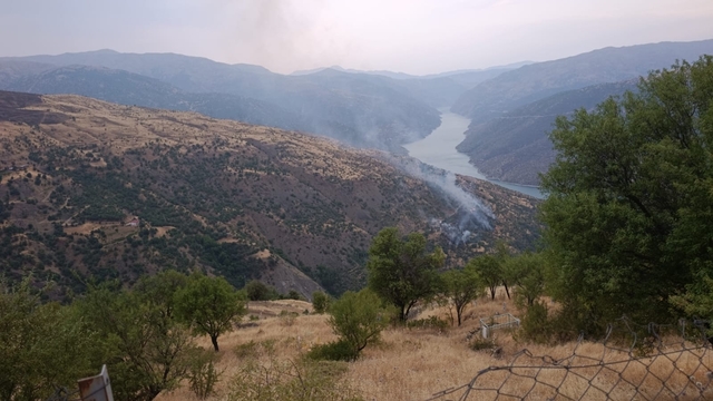 GÜNCELLEME 2 - Elazığ'da çıkan örtü yangını kontrol altına alındı