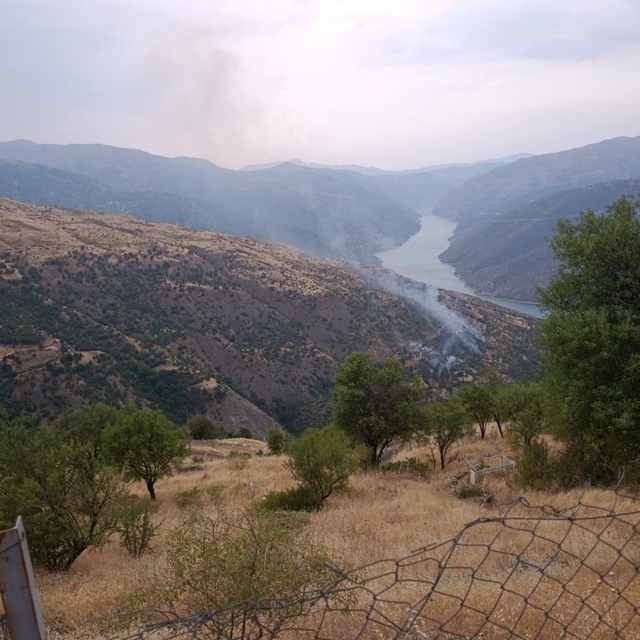 GÜNCELLEME 2 - Elazığ'da çıkan örtü yangını kontrol altına alındı