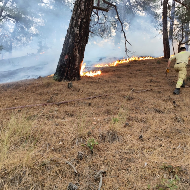 Kahramanmaraş'taki orman yangınında 2'nci gün