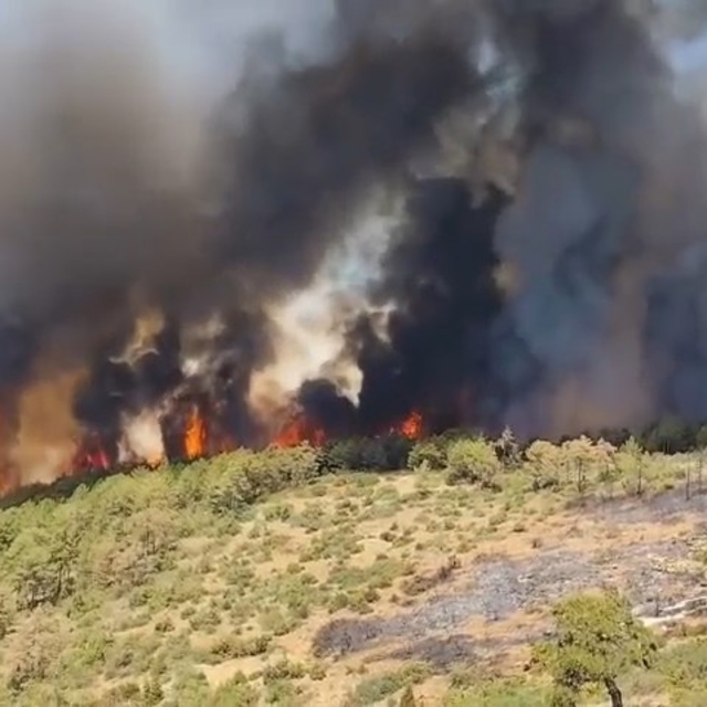 Bursa Orhaneli'de alevler yeniden canlandı (2)