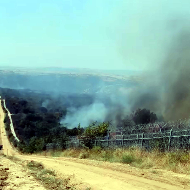 Bulgaristan'daki orman yangını, Türkiye sınırına ulaştı