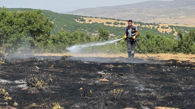 Karlıova'da çıkan örtü yangını söndürüldü
