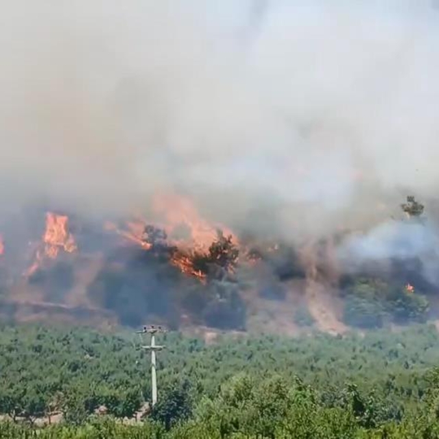 Bursa'daki yangın bölgesi dronla görüntülendi; tahliye edilen mahallelere d...