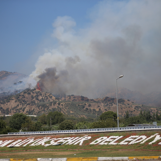 Aydın'da ağaçlık alanda çıkan yangına müdahale ediliyor