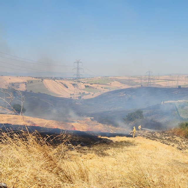 Gelibolu'da tarım arazisinde çıkan yangın söndürüldü