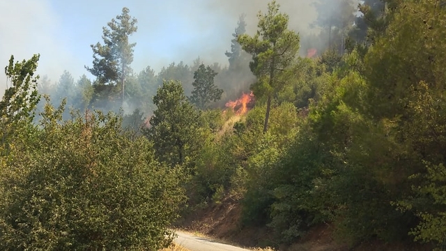 Muğla'da çıkan orman yangınına müdahale ediliyor