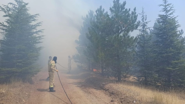 Malatya'nın Doğanşehir ilçesinde çıkan orman yangını söndürüldü