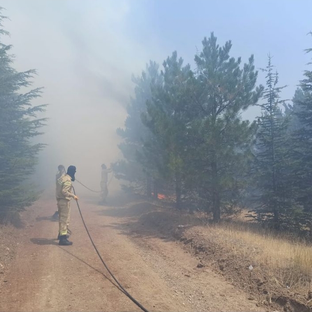 Malatya'nın Doğanşehir ilçesinde çıkan orman yangını söndürüldü