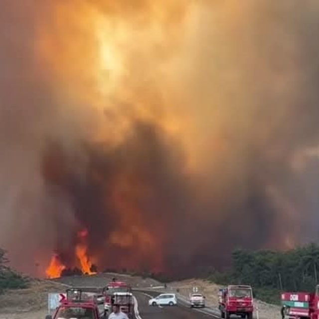 Bursa Orhaneli'de alevler yeniden canlandı (4)