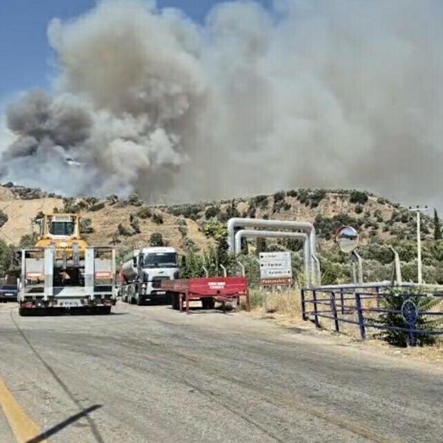 Aydın'da tarım arazisinde yangın