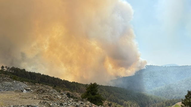 GÜNCELLEME 2 - Bursa'nın Orhaneli ilçesindeki orman yangınına müdahale sürüyor