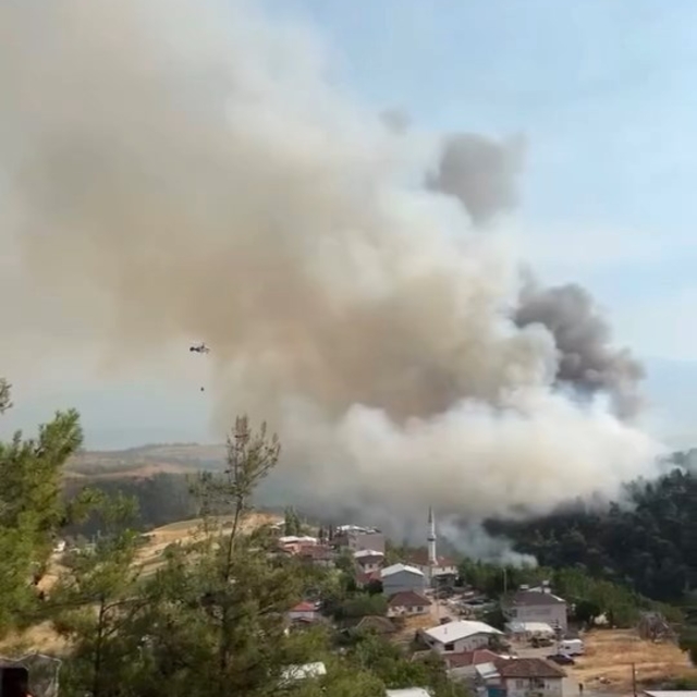Bursa'daki yangın bölgesi dronla görüntülendi (11)