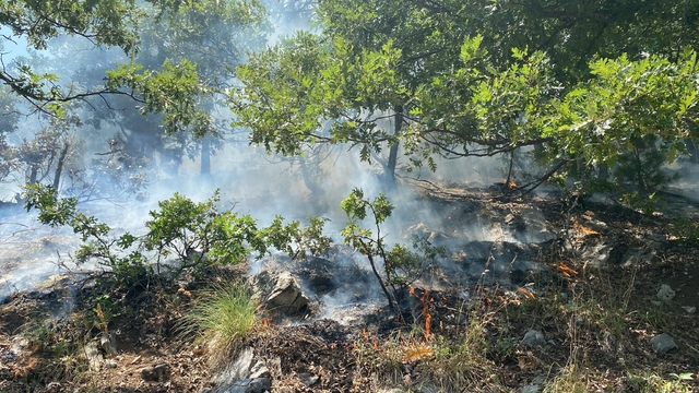 Osmaniye'de çıkan orman yangını kontrol altına alındı