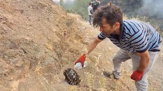 Bursa'daki yangın bölgesi dronla görüntülendi (12)