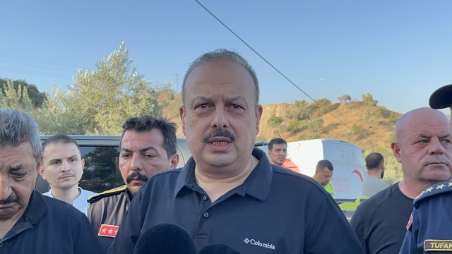 Aydın'da tarım arazisinde çıkan yangın ormana sıçradı (3)