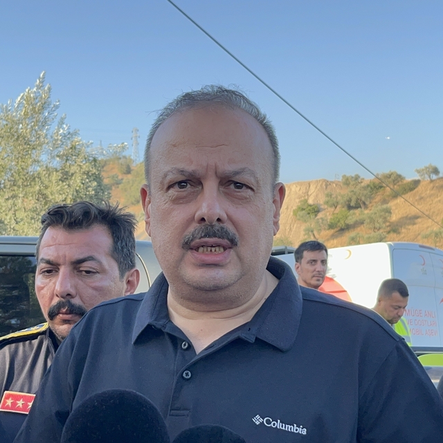 Aydın'da tarım arazisinde çıkan yangın ormana sıçradı (3)