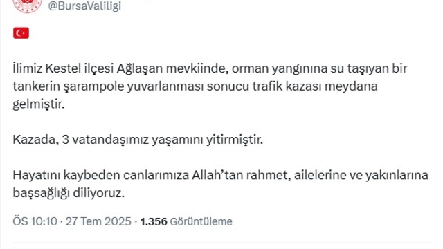 Bursa'daki yangın bölgesi dronla görüntülendi; 3 ölü (16)
