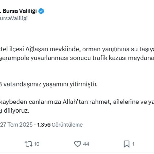 Bursa'daki yangın bölgesi dronla görüntülendi; 3 ölü (16)
