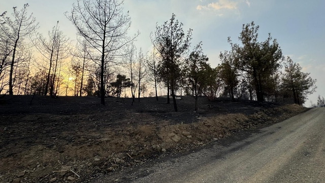 Kahramanmaraş'taki orman yangınında 2'nci gün (2)